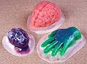 Human Heart Gelatin Mold Halloween Party Prop (B130)