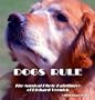 Dogs Rule