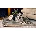 Single-Seam Bed Classic Large Green and Brown 43 inch x 56 inch x 4 inch
