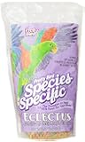 Pretty Bird International BPB73318 Species Specific Special Eclectus Bird Food, 3-Pound