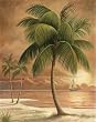 2 ISLAND PALM TROPICAL PRINTS 8x10 SANDY BEACH SUNSET