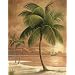 2 ISLAND PALM TROPICAL PRINTS 8x10 SANDY BEACH SUNSET