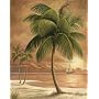 2 ISLAND PALM TROPICAL PRINTS 8x10 SANDY BEACH SUNSET