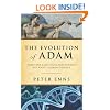 The Evolution of Adam: What the Bible Does and Doesn't Say about Human Origins