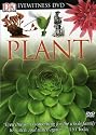 Eyewitness: Plant
