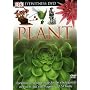 Eyewitness: Plant