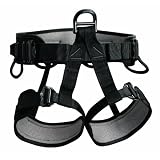 Petzl Pro Falcon Work Positioning Harness