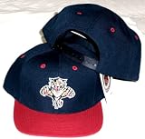 Florida Panthers Blue Two Tone Plastic Snapback Snap Back Hat / Cap