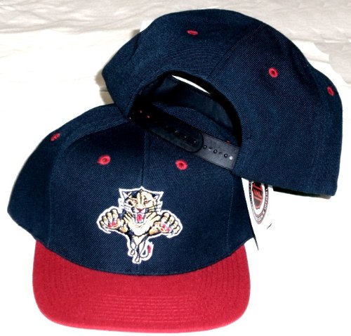 Florida Panthers Two Tone Plastic Snapback Snap Back Hat / Cap