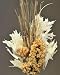 Light All Natural Dried Plant Bouquet