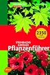 Steinbachs grosser Pflanzenf�hrer