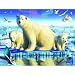 Ice Brigade 300pc Jigsaw Puzzle by Adrian Chesterman