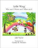 Little Wing - Who am I? Where am I? What am I?