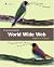 Programming the World Wide Web (3rd Edition)