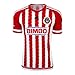 Chivas de Guadalajara Home Soccer Jersey 2015