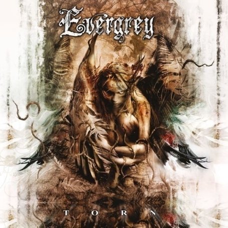 Evergrey - Still Walk Alone Lyrics - Zortam Music
