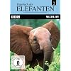 Tagebuch der Elefanten, Teil 2