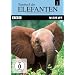 Tagebuch der Elefanten, Teil 2