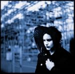 Blunderbuss
