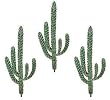 Three 3' Artificial Round Finger Cactus Desert Plants