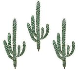 Three 3' Artificial Round Finger Cactus Desert Plants, 3 Iris Stems Free with Purchase (Retail Price $23.07)