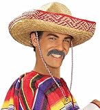Grey Pancho Moustache - Adult Std.