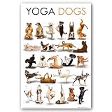 Yoga Dogs Poses Art Print Poster