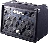 Roland KC-110 Battery Powered Keyboard Amplifier