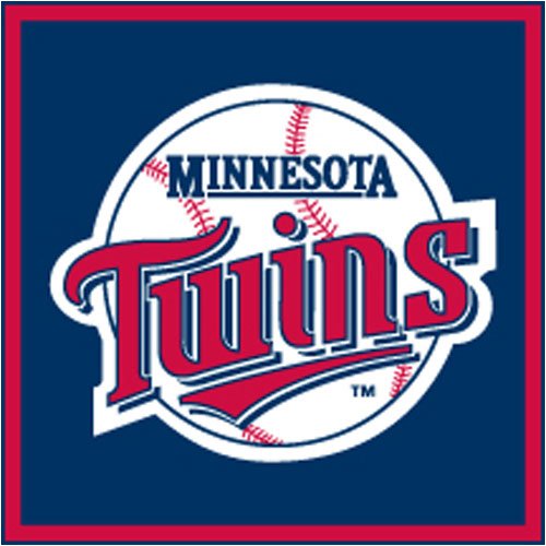 Turner MLB Minnesota Twins Note Cube (8080049)