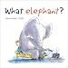 What Elephant?