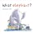 What Elephant?