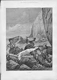 Dead Horse & Rider Found Fine Art Antique Print 1890