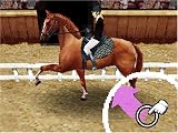 Horse Life