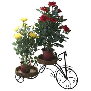 Proteam GO1058 - Ornamental Bike Planter Stand - Large Double Pot Wicker