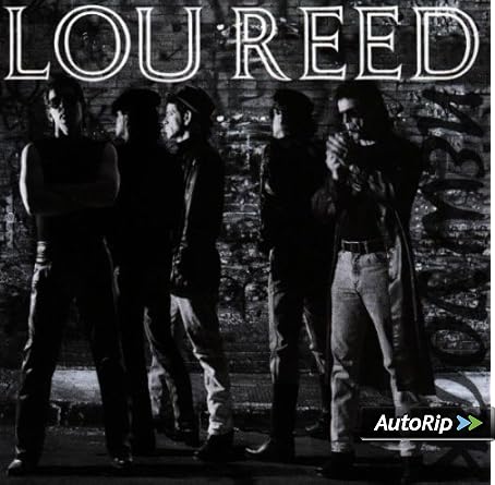 [Image: 51QqXf2zHkL._SX450__PJautoripBadge,Botto...OU11__.jpg]