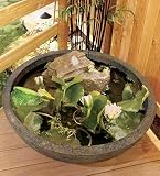 Aquatic Patio Pond Kit