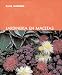 Book Jardineria en macetas (Blume jardineria)