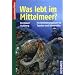 Romane, Buchtipps und Lesetipps für Taucher