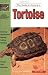 Tortoises, Natural History, Care