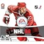 NHL 08 - Windows
