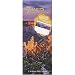 The 7 Habits of Highly Effective People 2009 Panoramic Wall Calendar