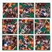 B Dazzle Rodeo Scramble Squares 9 Piece Puzzle