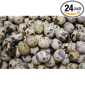Fresh Gourmet Quail Eggs - 2 Dozen
