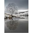 Frosty Lake Gallery Wrapped Canvas - 24x36"
