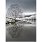 Frosty Lake Gallery Wrapped Canvas - 24x36"