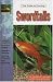 Swordtails: Keeping and Breeding Them in Captivity