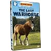 The Last Warhorse starring Graham Dow, Olivia Martin, Robert Carlton! Dove Family Approved!