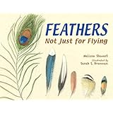 Feathers: Not Just for Flying