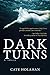 Dark Turns: A Novel