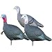 Flambeau Turkey Love Triangle Set Decoy